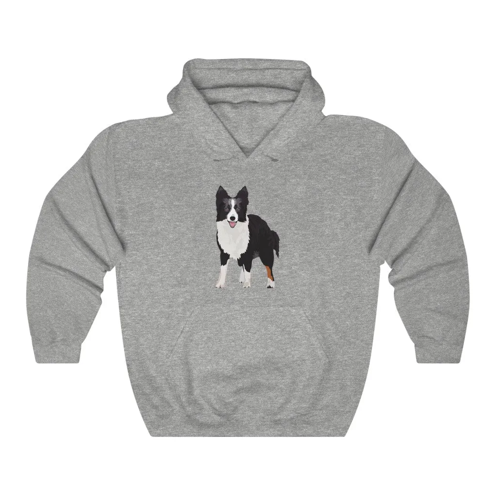 Border Collie Unisex Heavy Blend™ Hooded Sweatshirt, Cotton & Polyester, 7 Colors, S - 3XL, Made in USA!!, FREE Shipping!!