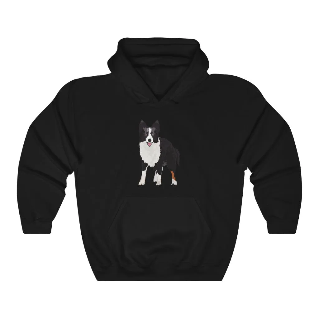 Border Collie Unisex Heavy Blend™ Hooded Sweatshirt, Cotton & Polyester, 7 Colors, S - 3XL, Made in USA!!, FREE Shipping!!