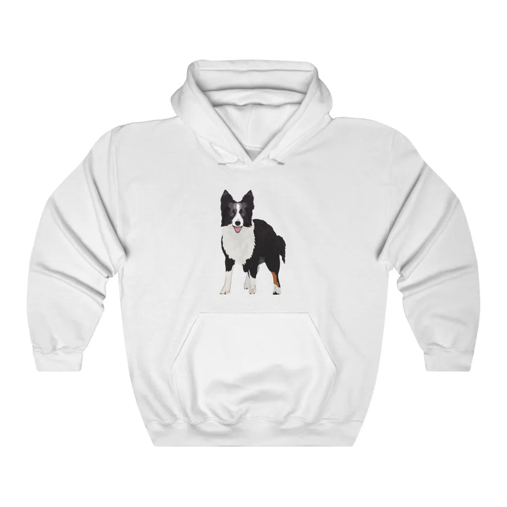 Border Collie Unisex Heavy Blend™ Hooded Sweatshirt, Cotton & Polyester, 7 Colors, S - 3XL, Made in USA!!, FREE Shipping!!
